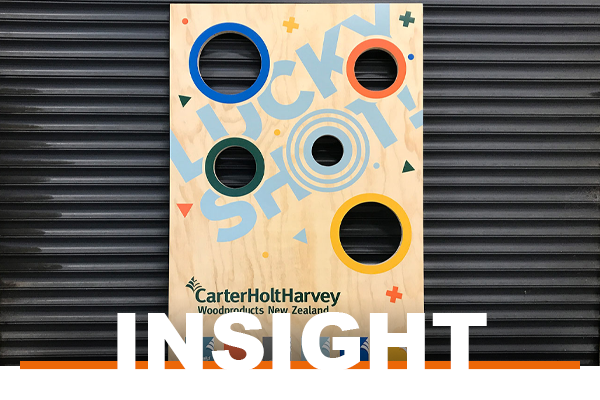 insight